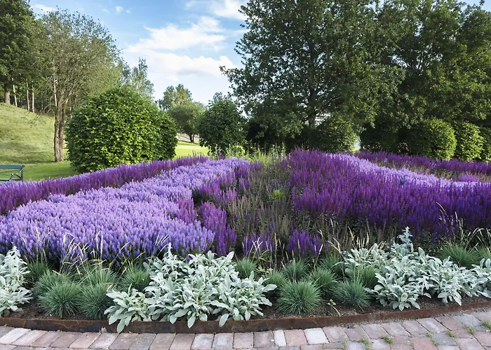 Sankt Joergen Park
